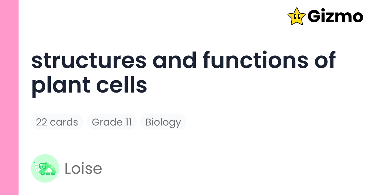 Structures and Functions Of Plant Cells | Flashcards
