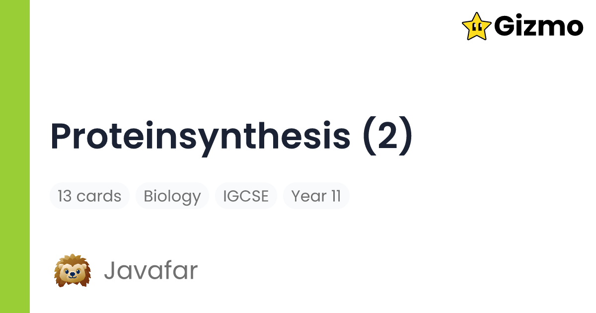 Proteinsynthesis 2 flashcards
