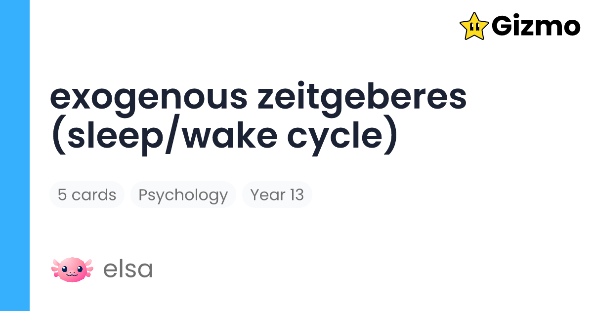 Exogenous Zeitgeberes (sleep/wake Cycle) | Flashcards