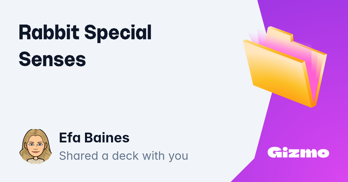 Rabbit Special Senses | Flashcards