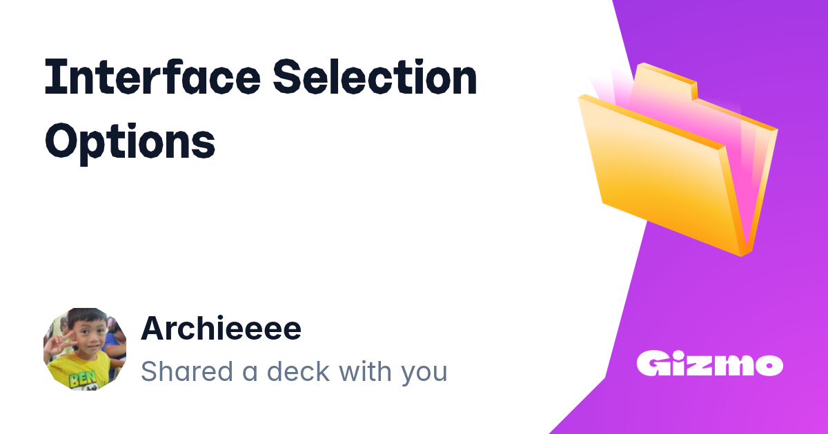 Interface Selection Options | Flashcards